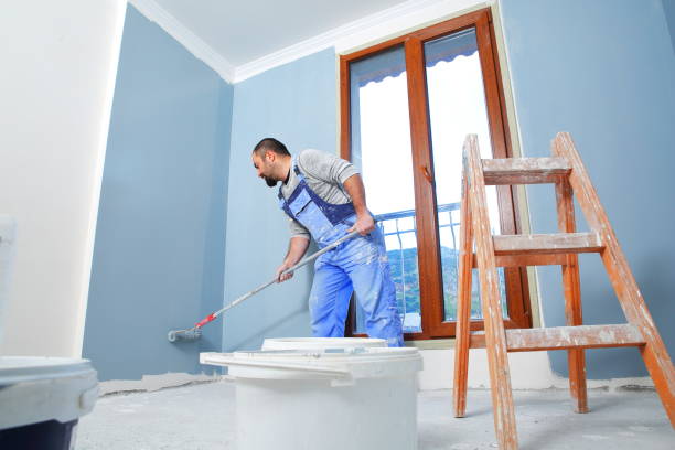 Best Mold Odor Removal Services  in Rossmoyne, OH