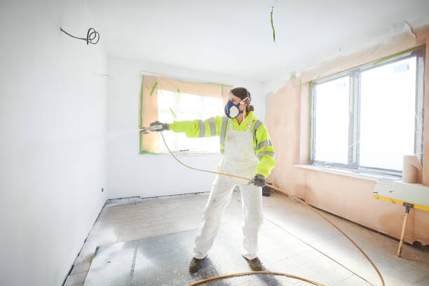 Best Post-Construction Mold Inspection  in Rossmoyne, OH