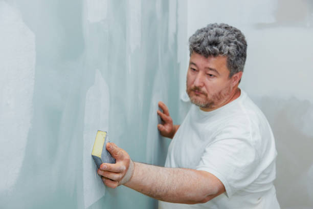 Best Environmental Consulting for Mold Prevention  in Rossmoyne, OH