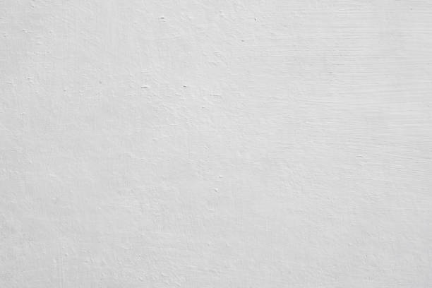 Best Mold Damage Restoration  in Rossmoyne, OH