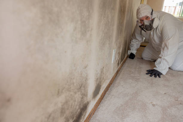 Best Crawl Space Mold Remediation  in Rossmoyne, OH